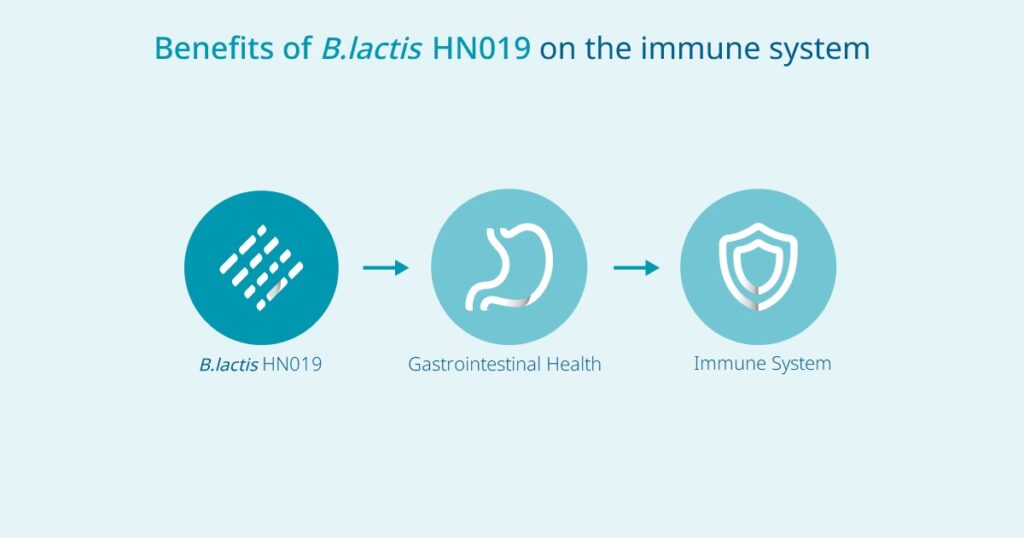 B.lactis hn019 benefits on immune system